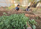 Village kids enjoying sowing seeds and harvesting vegetables at farm