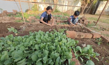 Village kids enjoying sowing seeds and harvesting vegetables at farm